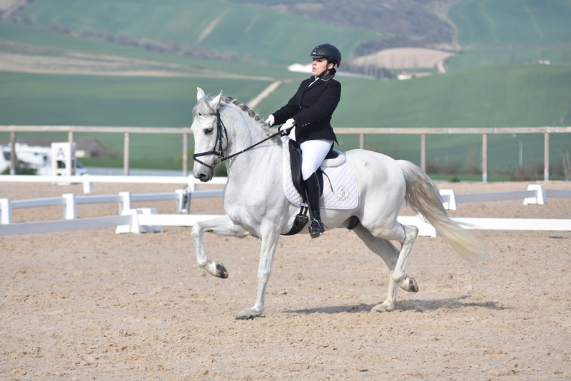Resultados 3&ordf; Fase del Campeonato Navarro de Doma Cl&aacute;sica, Doma Adaptada y Juegos Deportivos de Navarra 18/19